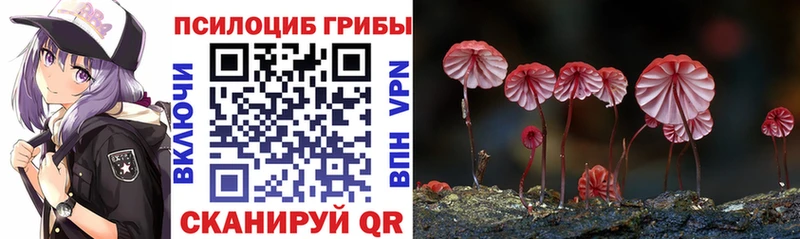 mega рабочий сайт  что такое наркотик  Афипский  Галлюциногенные грибы прущие грибы 